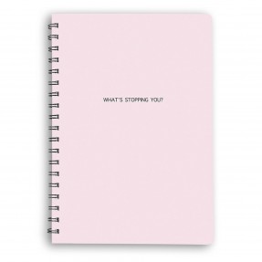 Планер “What`s Stopping?”, купити Планер “What`s Stopping?”